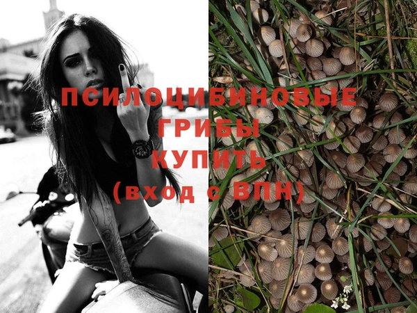 меф Армянск