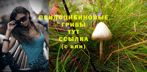 круглые Арсеньев