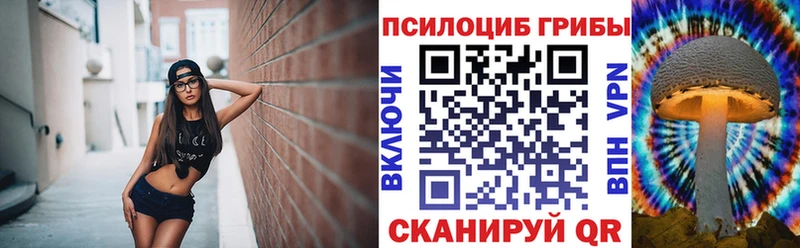 Галлюциногенные грибы MAGIC MUSHROOMS  даркнет сайт  блэк спрут ссылки  Печоры 